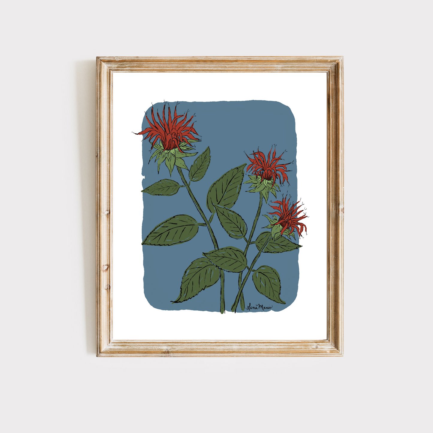 Beebalm Botanical Art Print - 5 Designs