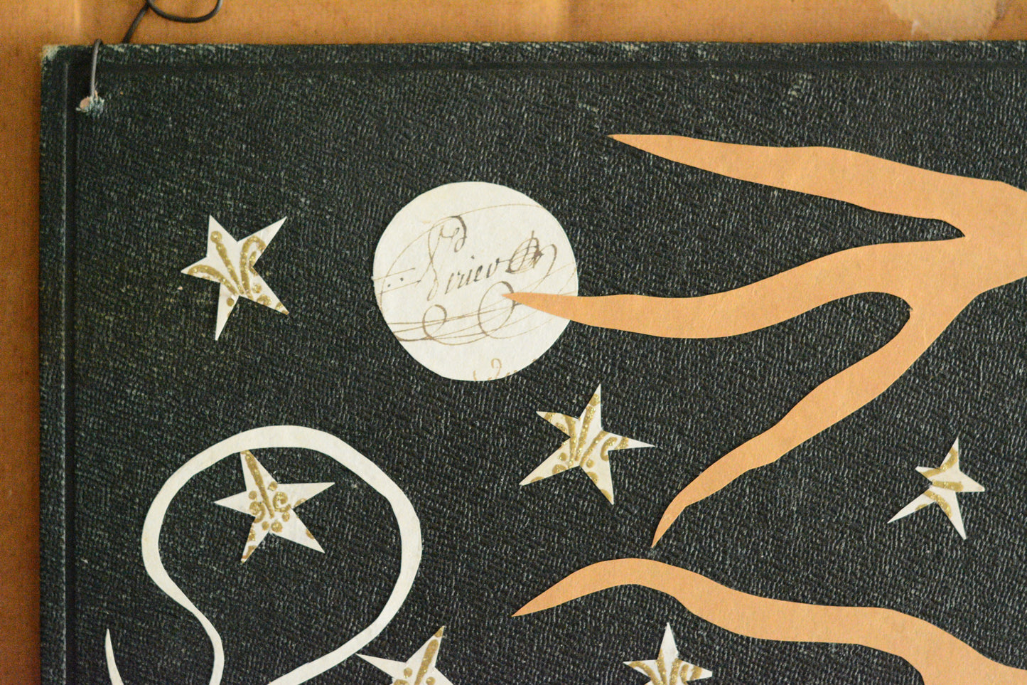 Autumn Papercutting - Beaming Stars