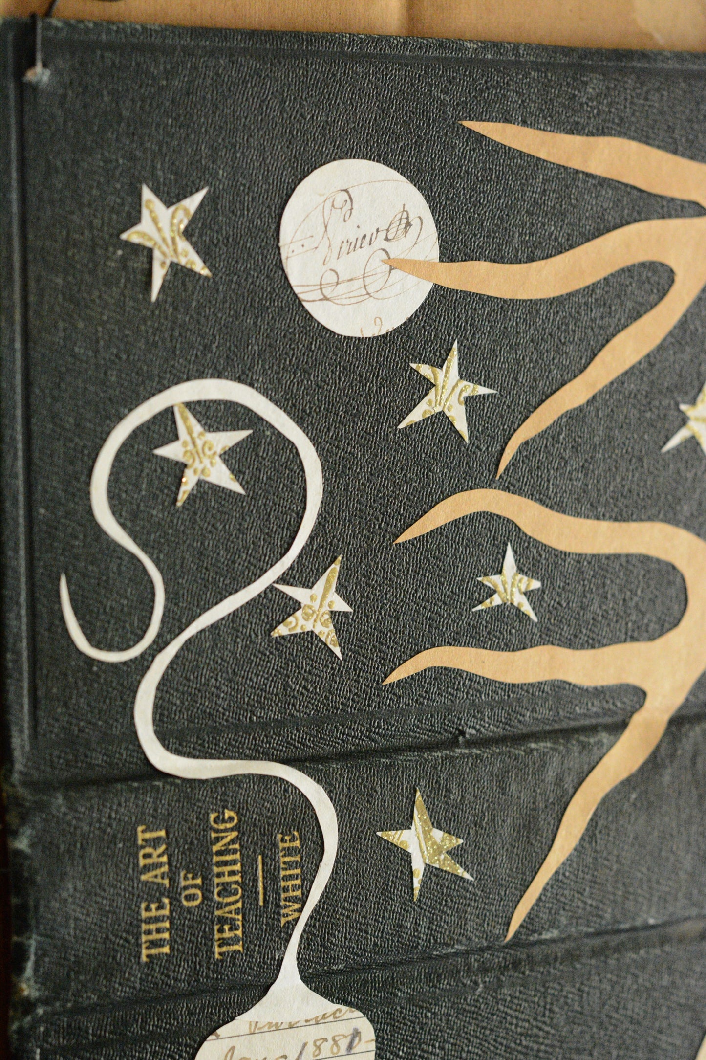 Autumn Papercutting - Beaming Stars