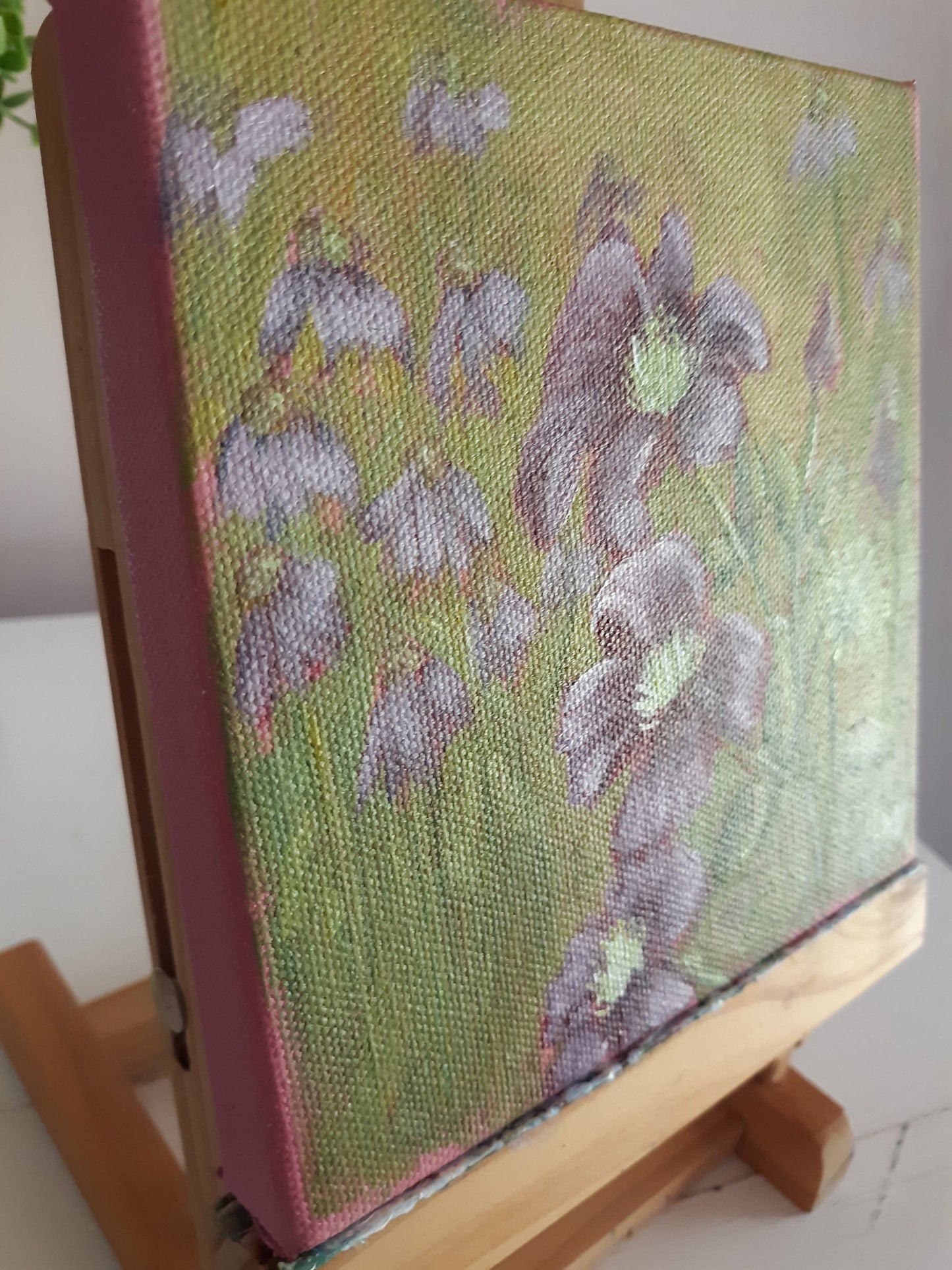 Imposter - clematis among coneflowers