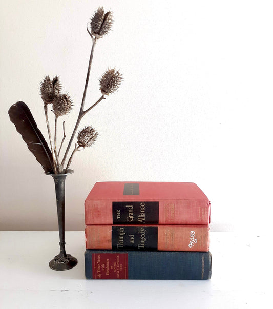 Blue, Red, Faded Red Decorative Book Bundle