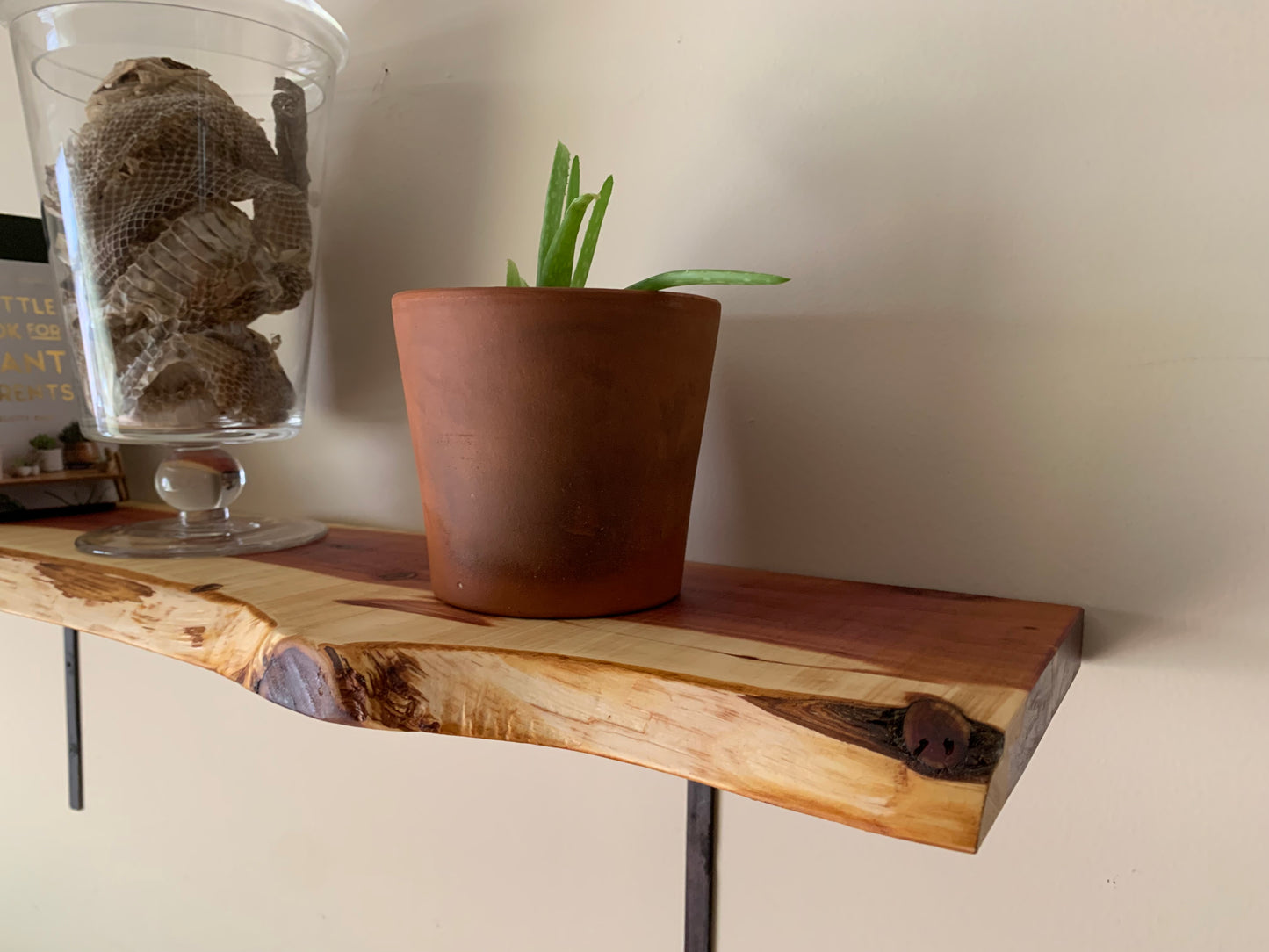 Live Edge Cedar Shelf, Locally Handcrafted - LOCAL PICKUP ONLY