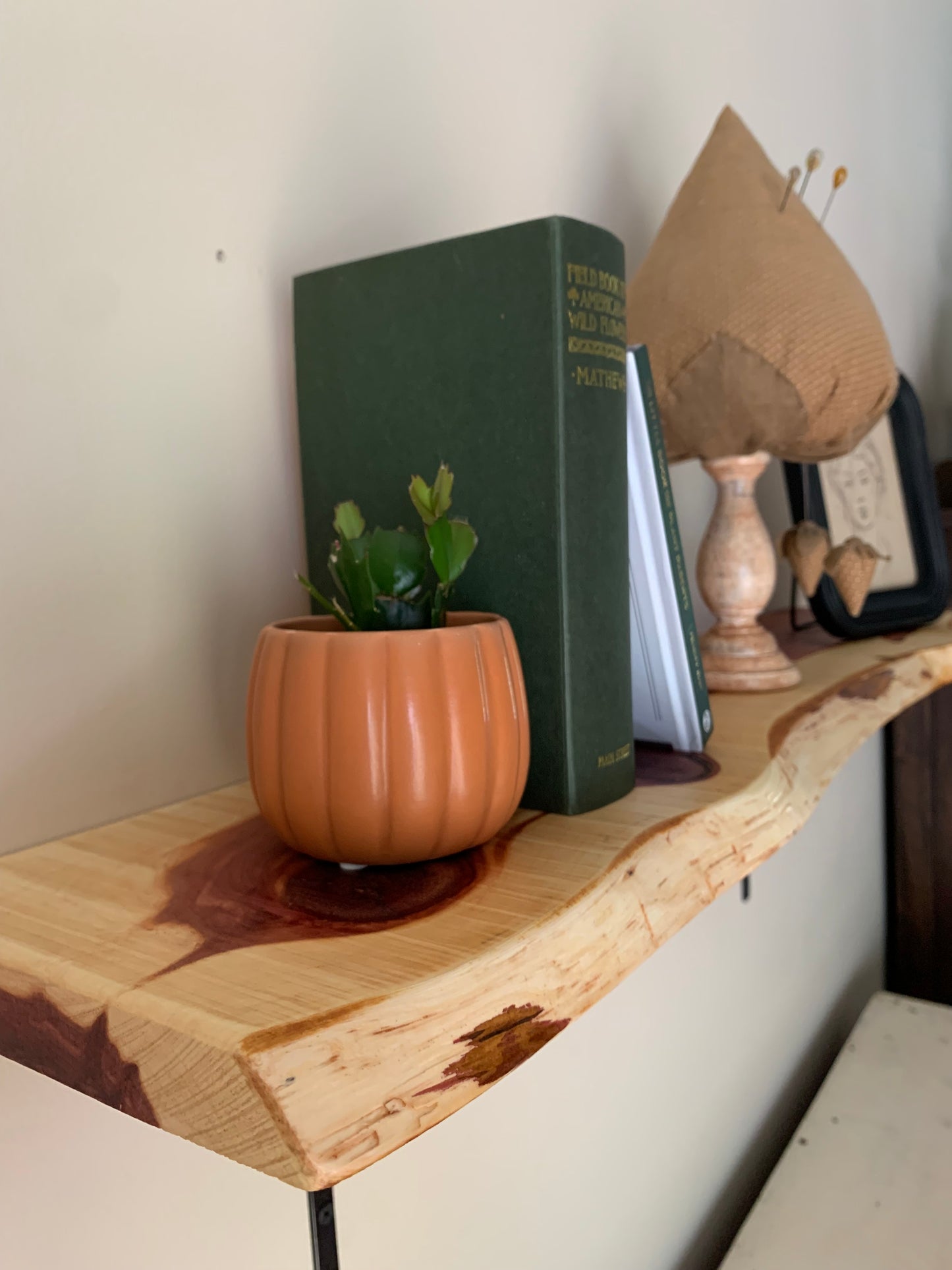 Live Edge Cedar Shelf, Locally Handcrafted - LOCAL PICKUP ONLY