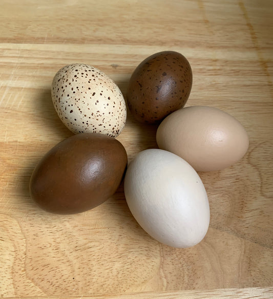 5 Hand Painted (Terracotta) Eggs