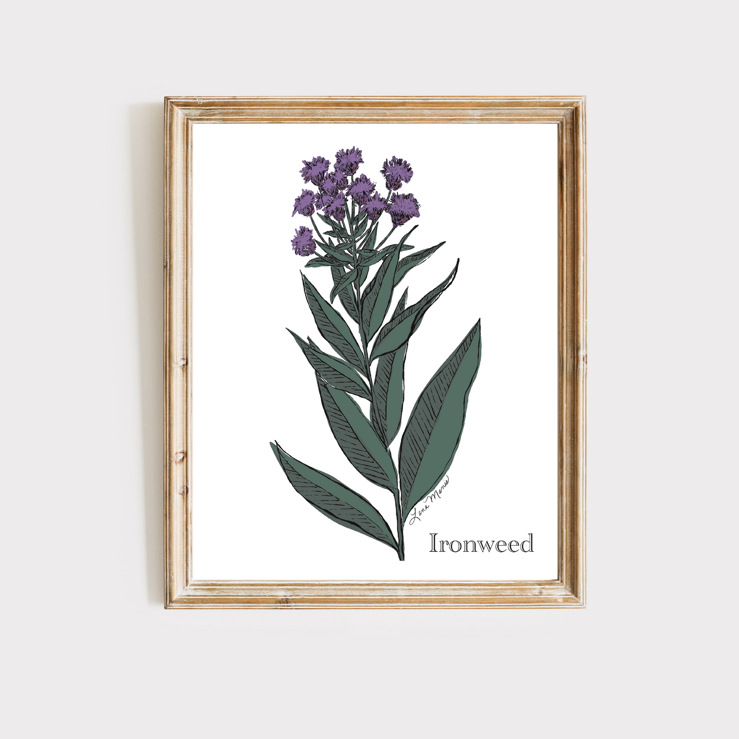 Ironweed Botanical Art Print - 3 Designs
