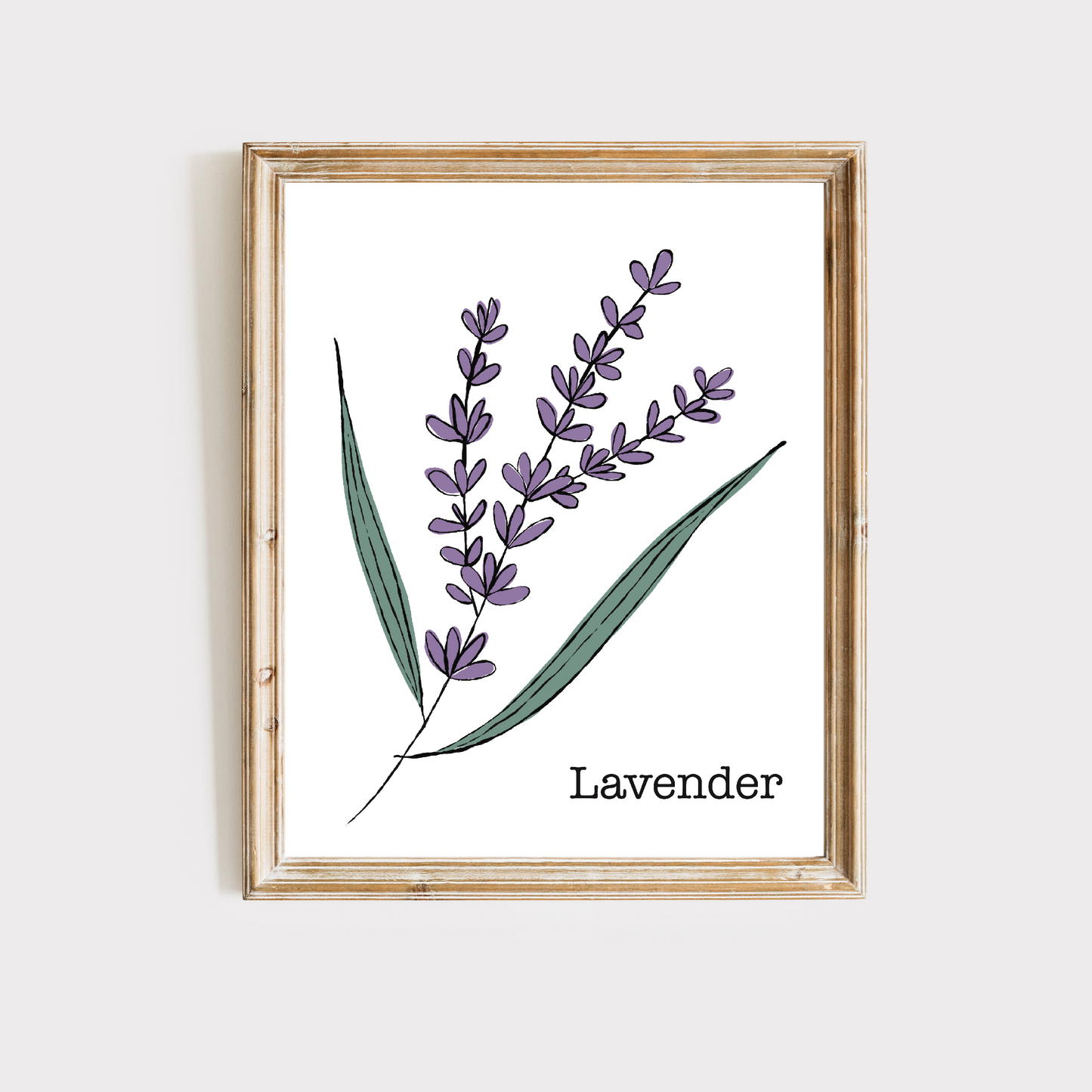 Lavender Botanical Art Print