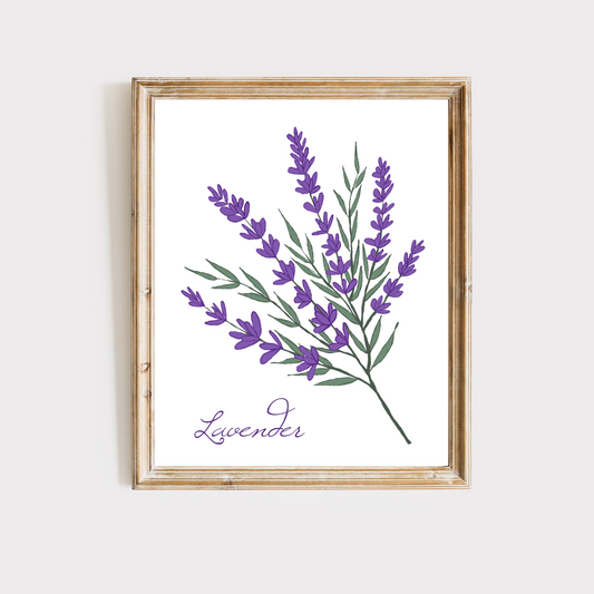 Lavender Branch Art Print