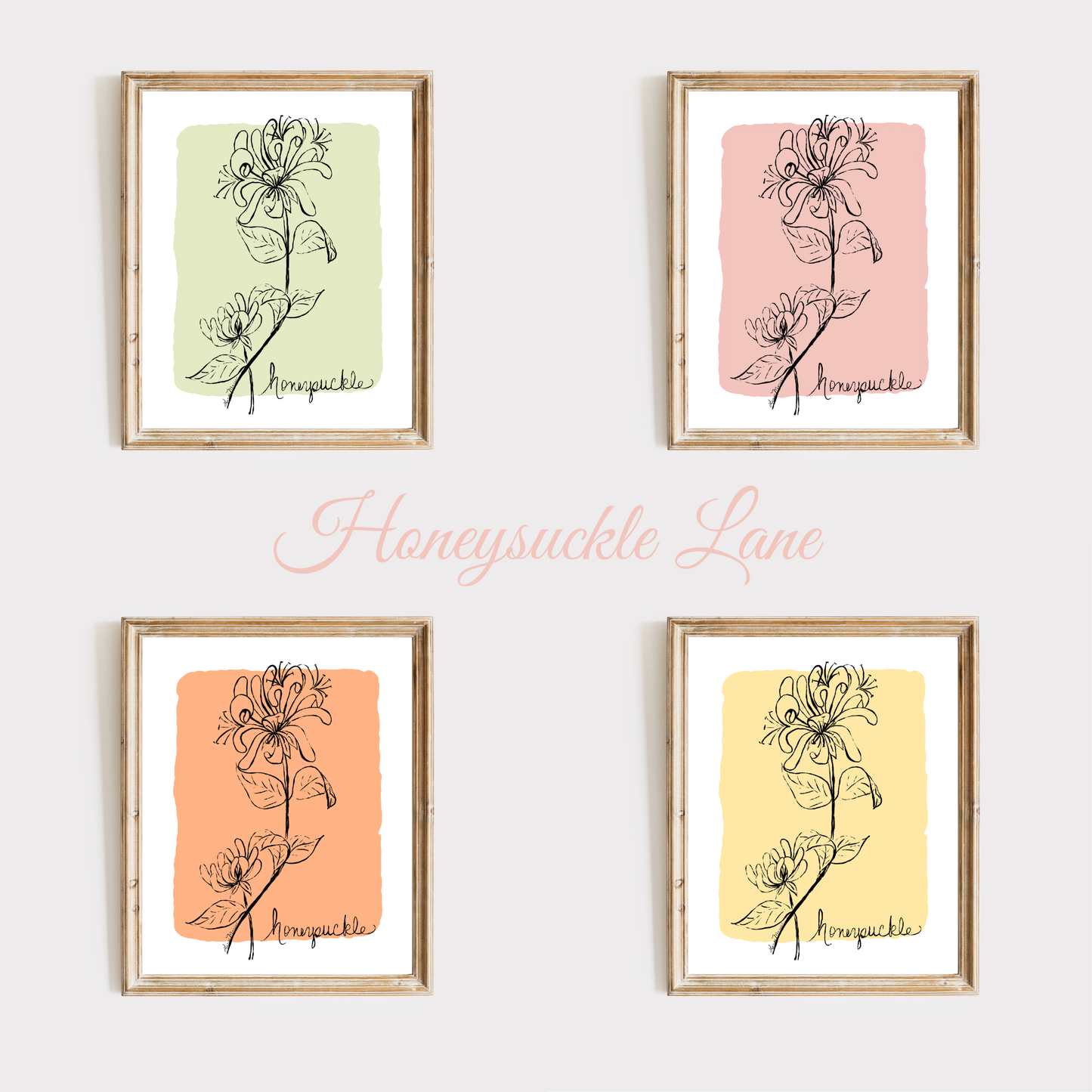 Honeysuckle Sketch Print - 4 Designs