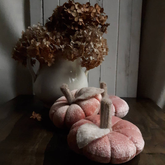 Salmon Pink with Light Stem Vintage Velvet Pumpkin
