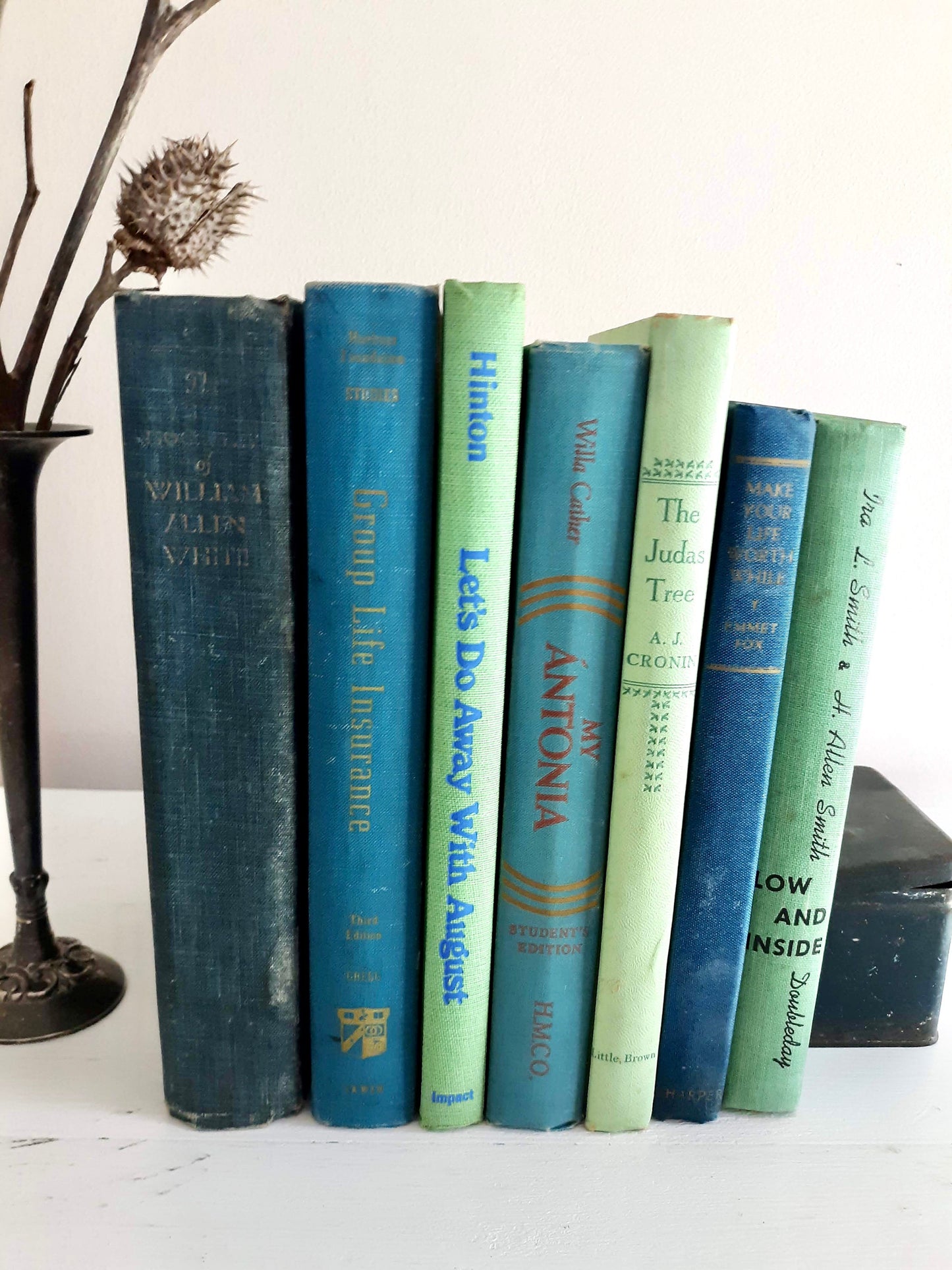 Blue Green Decorative Book Bundle