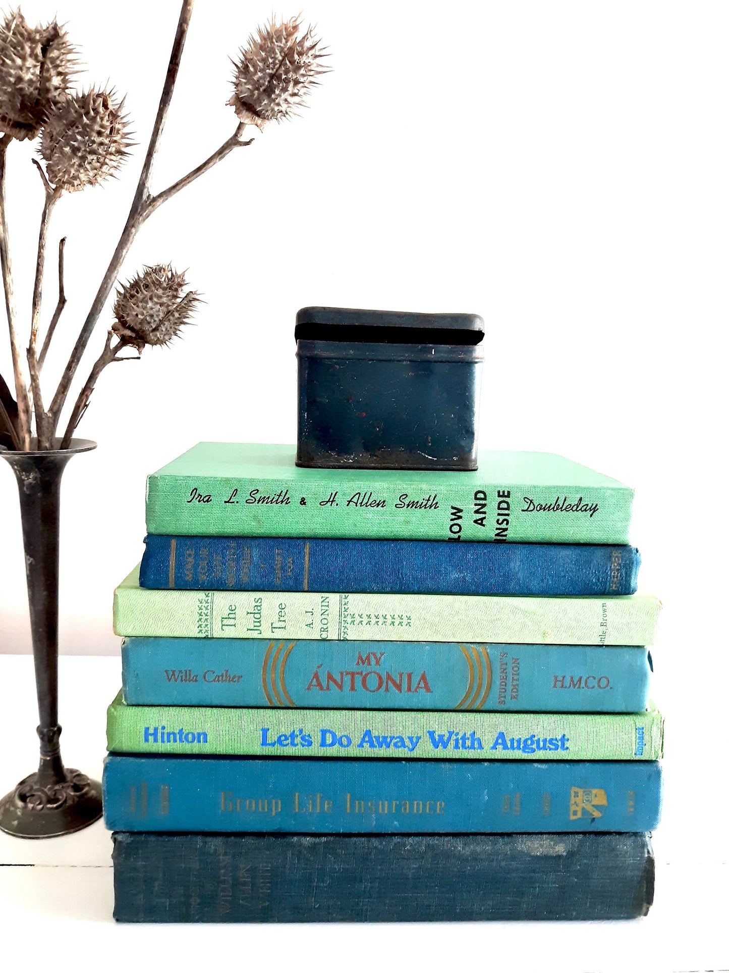 Blue Green Decorative Book Bundle