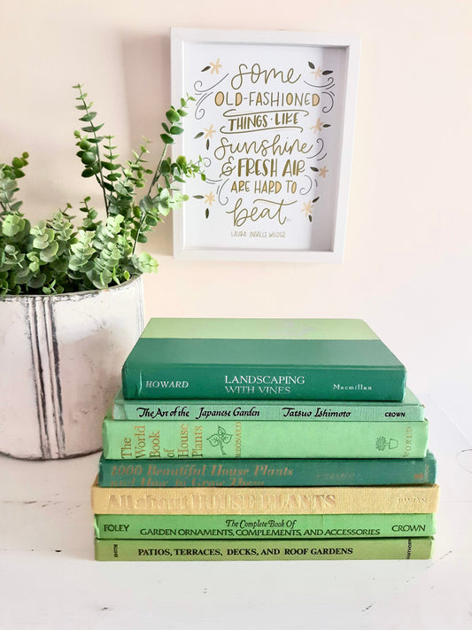 Light Green Decorative Book Bundle