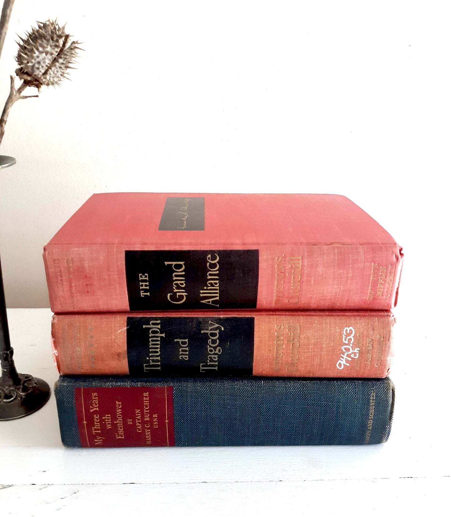 Blue, Red, Faded Red Decorative Book Bundle